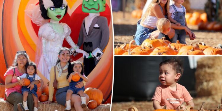Mr. Bones pumpkin patch returns to popular LA city for Halloween