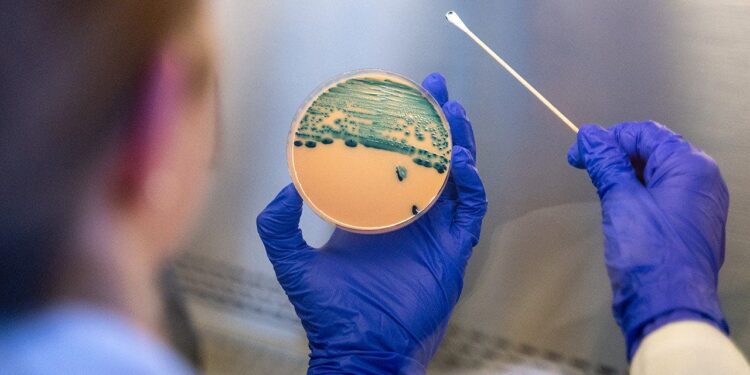 Shigella antibiotic resistance rising as drug-resistant strains grow