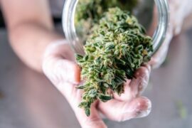 Our granddaughter reeks of pot when we pick her up from her mother’s house