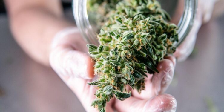 Our granddaughter reeks of pot when we pick her up from her mother’s house