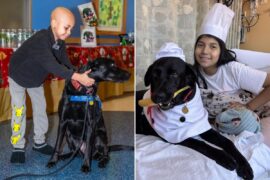 How dogs at NYC hospitals are helping heal sick kids How dogs at NYC hospitals are helping heal sick kids
