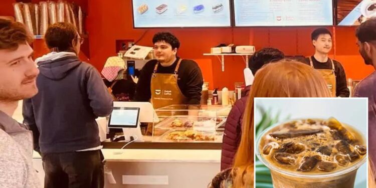 Renowned SF coffee shop suddenly evicted as landlord demands 0K
