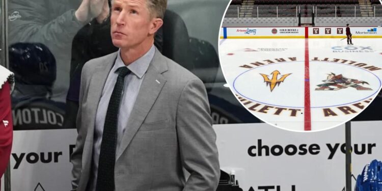 Arizona State talking to Dave Hakstol with hockey program in chaos Arizona State talking to Dave Hakstol with hockey program in chaos