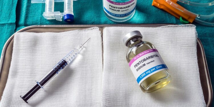 Christa Pike survives two pentobarbital doses in failed execution